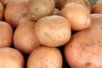 Potato on wooden table