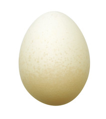 one egg