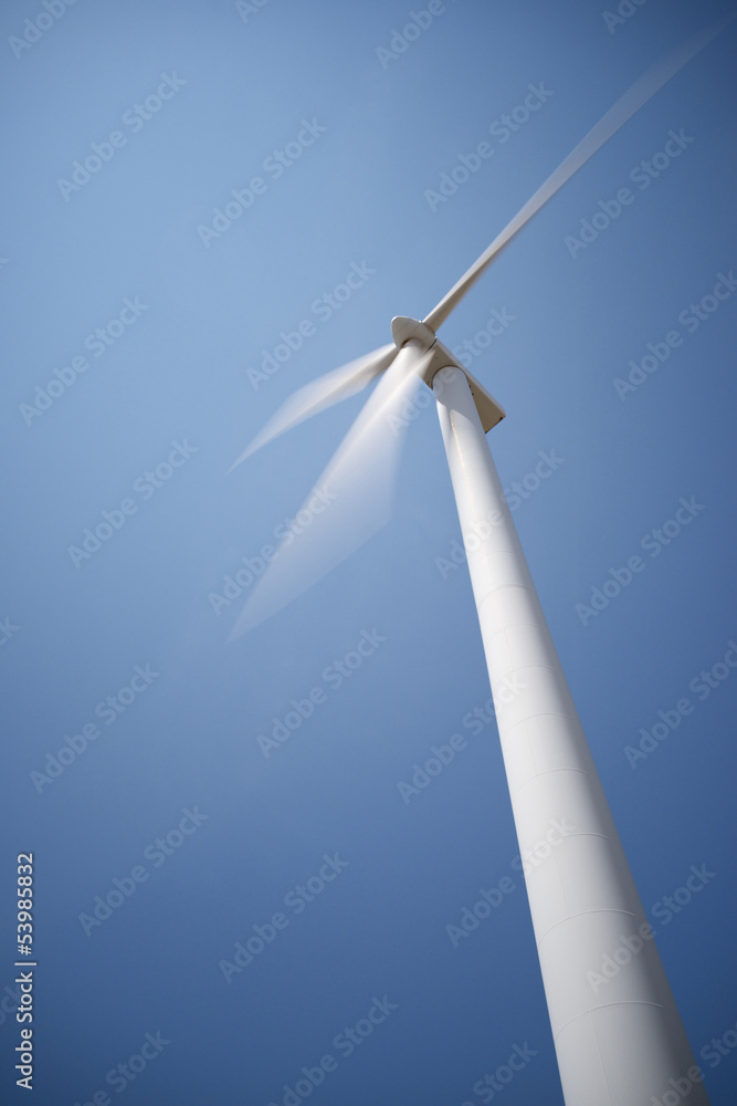 Wall mural wind energy