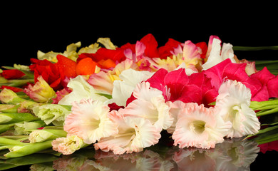 Beautiful colorful gladiolus on black background close-up