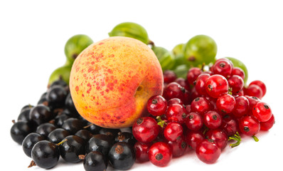 mix ripe berries
