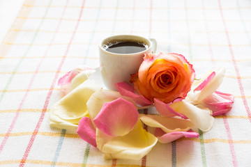 morning Coffee