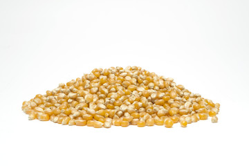 Pile of seeds