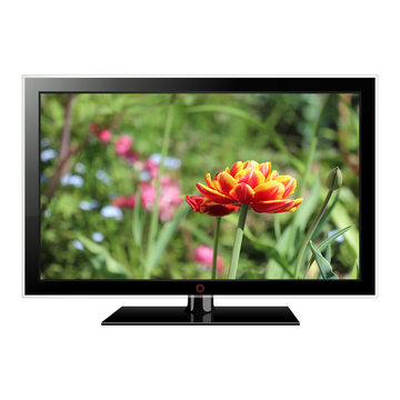 LCD TV with tulip on screen
