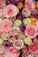 Mixed pastel roses