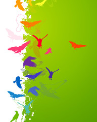 Vector Abstract Background with Colorful Birds