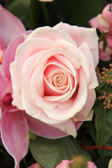 pink rose and orchid in bridal bouquet