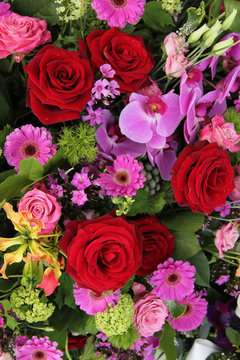 Fototapeta pink and red floral arrangement