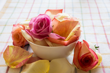 Rose Petals