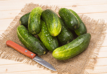 Fresh cucumbers from the garden