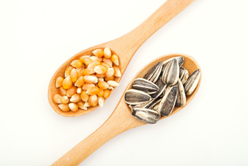 Corn and sunflower seed on wood spoon