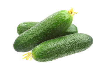 Three fresh cucumbers