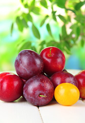 Ripe plums on wooden table on natural background