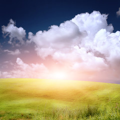 green grass on the field