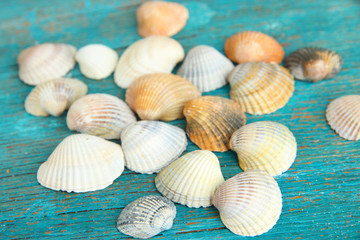 Obraz na płótnie Canvas Sea seashells on blue wooden table close-up