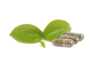 herbal medicine pills with green plant on white background