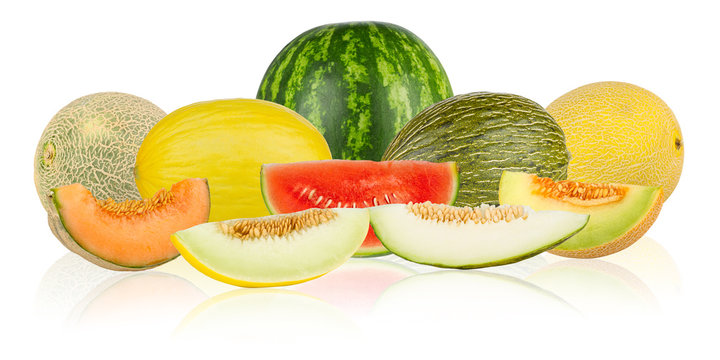 melon panorama