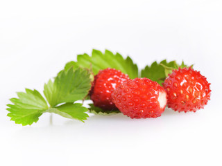 Wild strawberries