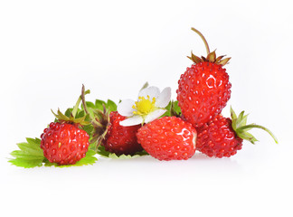 Wild strawberries