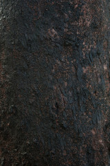 Backgroup of Dark stem