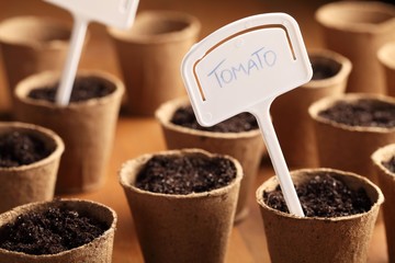 Close-up of turf pots with seeds