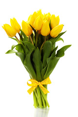 yellow tulips