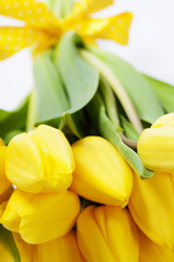 Obraz premium yellow tulips