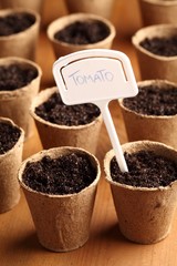 Close-up of turf pots with seeds