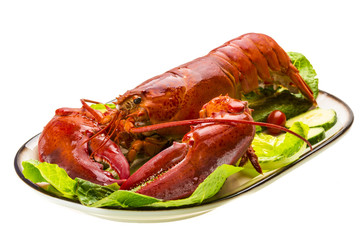 Large Lobster