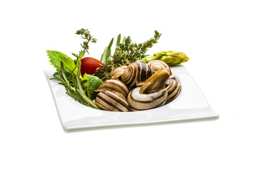 Escargot with asparagus, rosemary, thymus and tomato