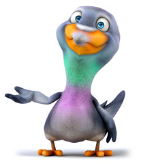 Fun pigeon