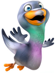 Fun pigeon