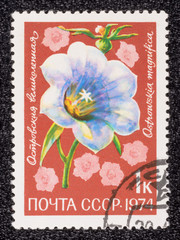 Postage stamp