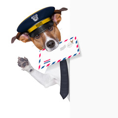 mail dog
