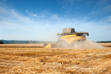 Obraz premium Trebbiare