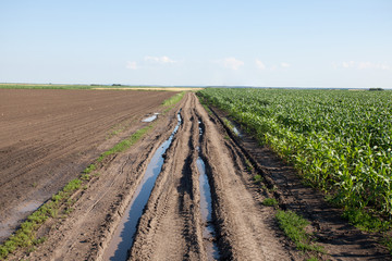 farm road