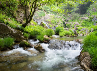 Beautiful river in Galicia