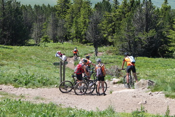 Naklejka premium VTT