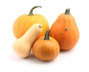 Various pumpkins on white background.