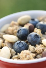 Close-up of bowl with cereal, nuts, almond and fresh blueberreis