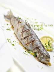 grilled trout on a white plate