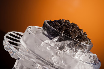 Black caviar in ice