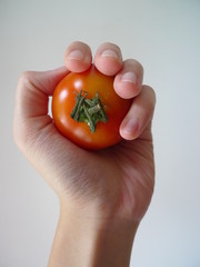 A hand holding a tomato