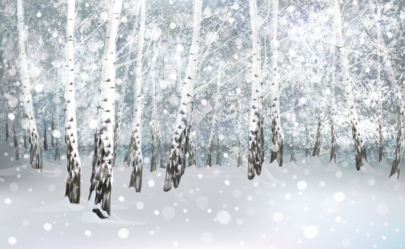 Vector of winter snowy birch forest.