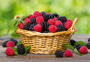 Raspberry and blackberry in the basket