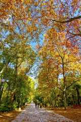 Autumn in Campo Grande Park