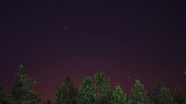 stars and time lapse in the forest