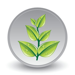 LEAVES ICON