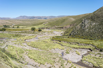 Fototapeta na wymiar Condor, Quebrada de Humahuaca, Jujuy, Argentyna