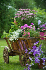 Gartenidylle mit Leiterwagen